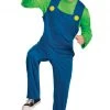Mens Luigi Classic Costume