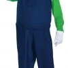 Mens Deluxe Nintendo Super Mario Bros Luigi Costume