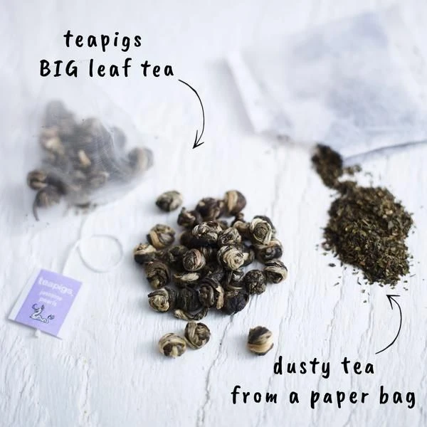 Teapigs Jasmine Pearls 15 Tea Bags 4 Teapigs Jasmine Pearls 15 Tea Bags - Image 2